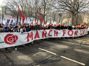 49776279_10156761166990575_5408086243458154496_n